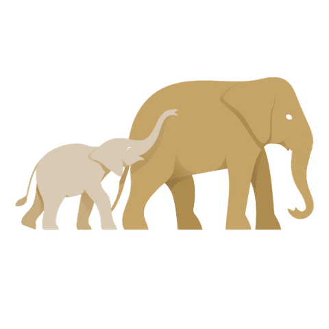 Elephant Kingdom Sanctuary