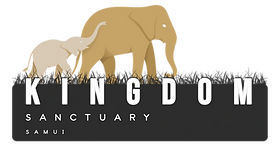 Elephant Kingdom Sanctuary