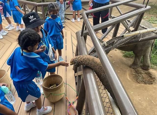 Green Lung Elephant Sanctuary